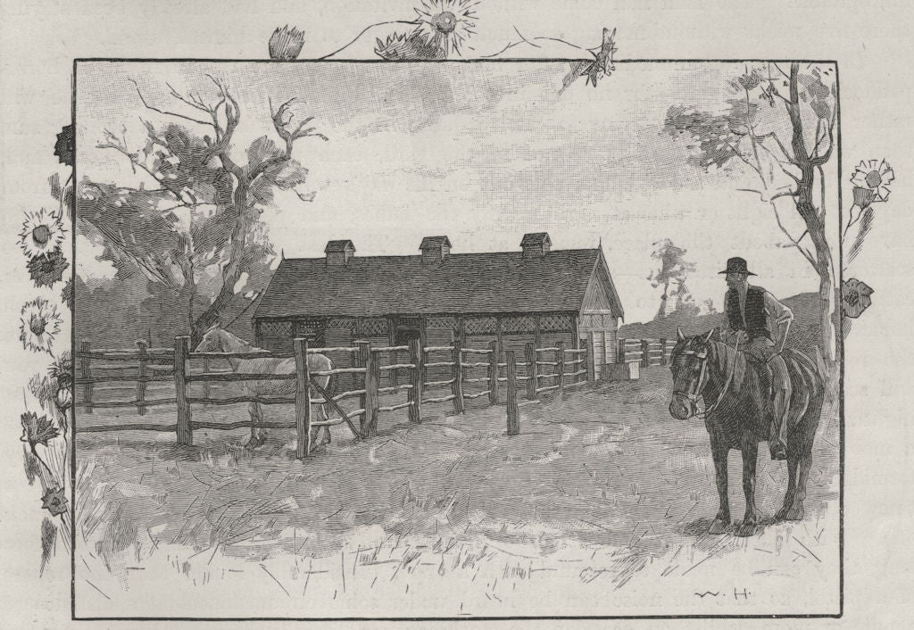 A Stockyard. Australia 1890 old antique vintage print picture